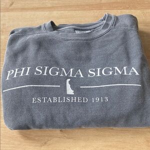 Comfort Colors Phi Sigma Sigma Gray Sweater Size S